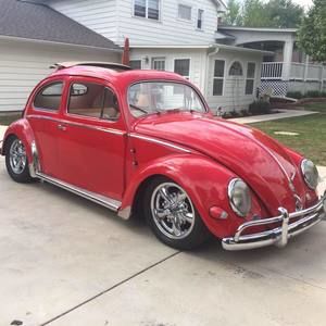 Meet your Posher, Steven